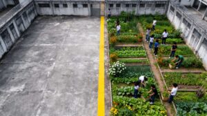 Ejecución de las Sanciones Penales Juveniles en Costa Rica (Ley N° 8460)