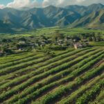 Ley de Tierras y Colonización de Costa Rica (Ley N° 2825)