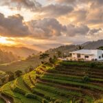 Regulación de Intermediación Financiera de Organizaciones Cooperativas de Costa Rica (Ley N° 7391)