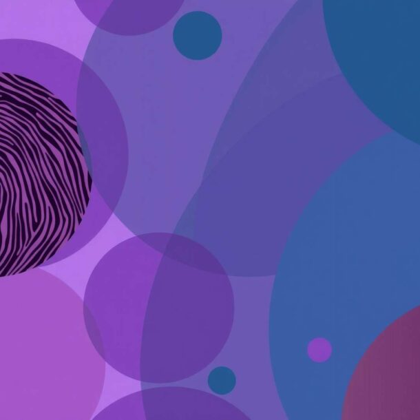 Ley para Regular las Asociaciones Cooperativas Digitales de Costa Rica (Ley N° 10858)