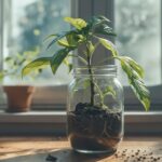 Fomento de la Cultura de Emprendimiento e Innovación de Costa Rica (Ley N° 10365)