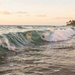 Ley para la Adecuada Gestión de las Artes de Pesca Abandonadas, Perdidas y/o Descartadas en Costa Rica (Ley N° 10764)